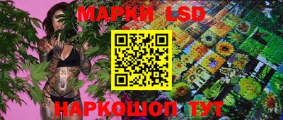 дмт Ярославль