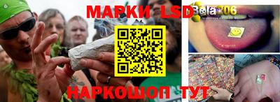 jwh Шебекино