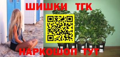 jwh Шебекино