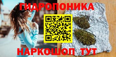 дмт Ярославль