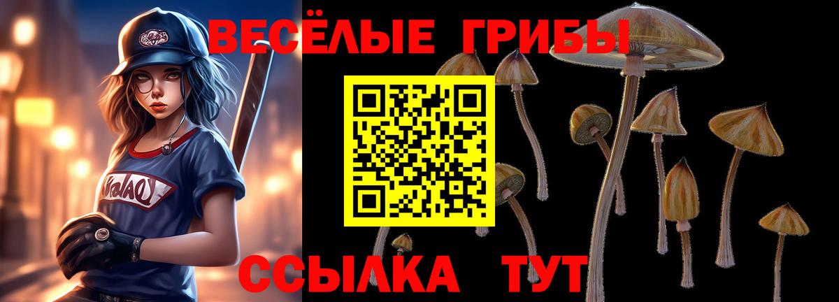 Псилоцибиновые грибы ЛСД Сухой Лог